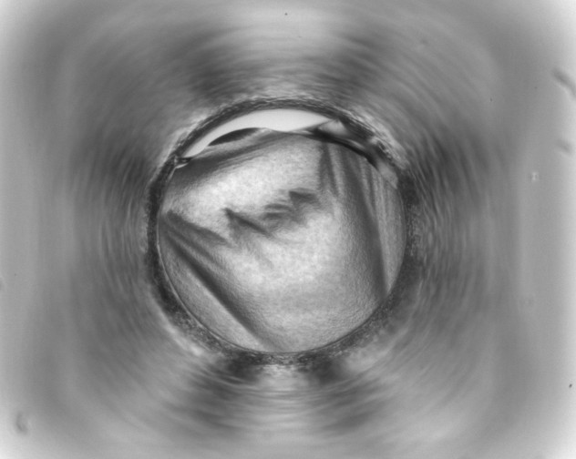 X0000093260496200710241336