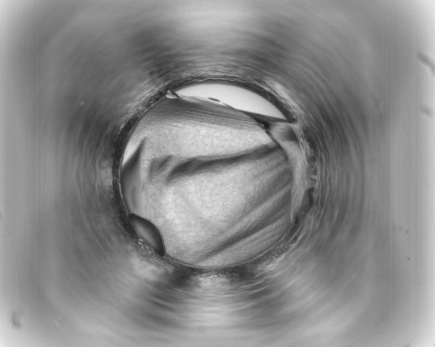X0000093260500200710241336