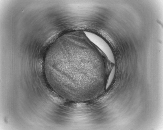 X0000093260501200710241336