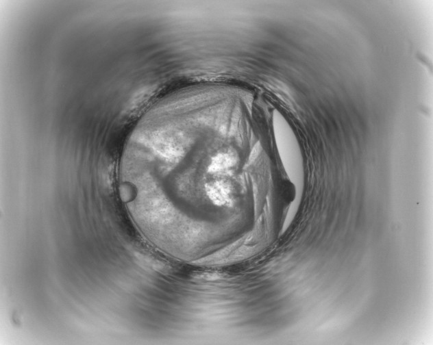 X0000093260503200710241336