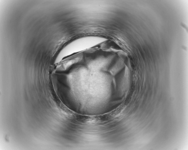 X0000093260504200710241336