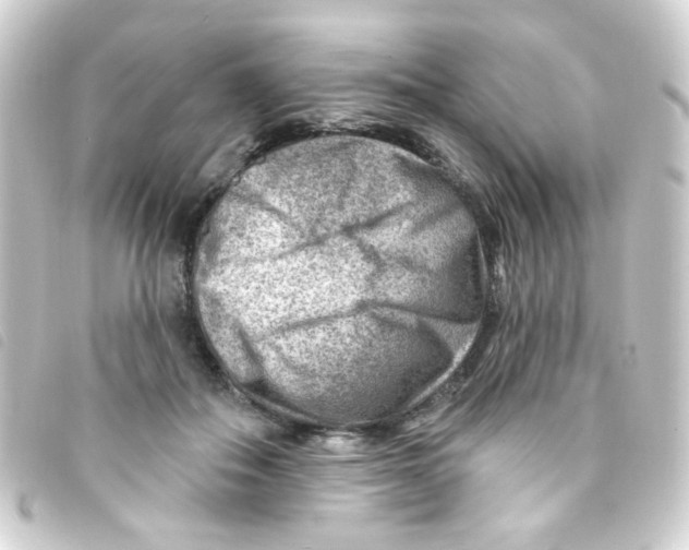 X0000093260506200710241336