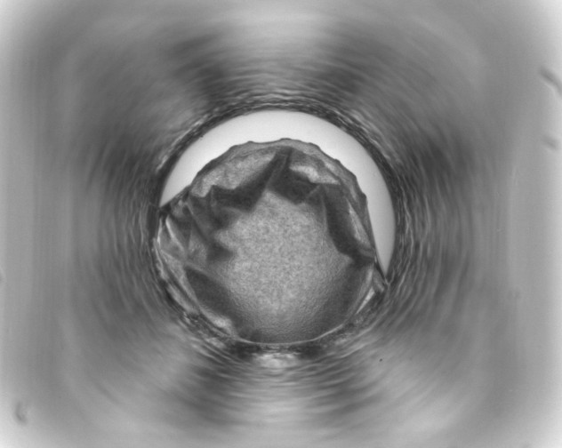 X0000093260508200710241336