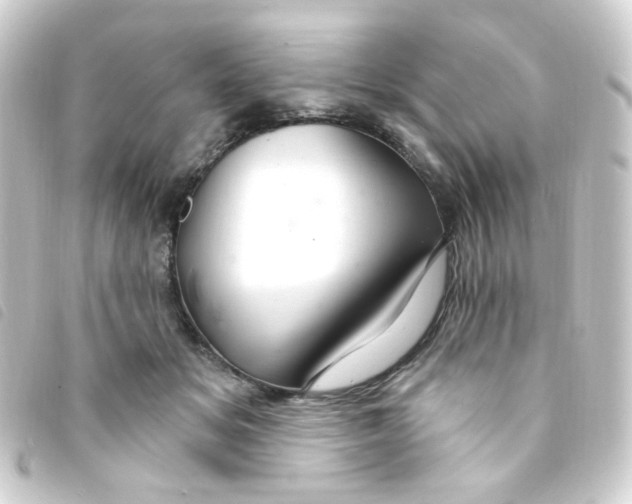 X0000093260509200710241336