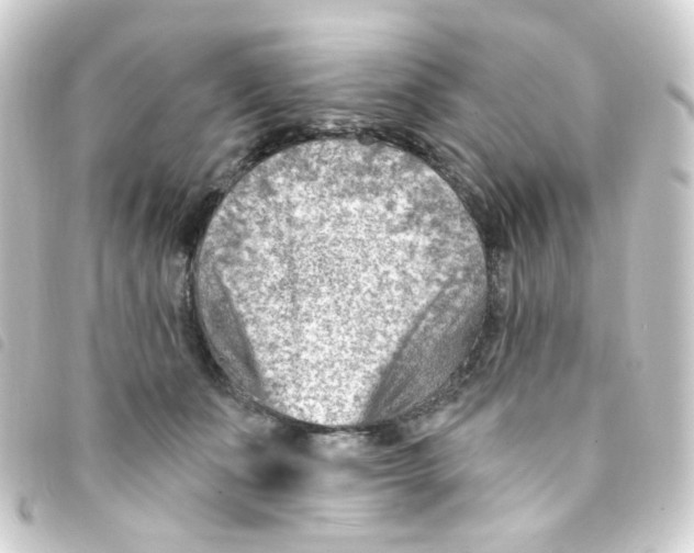 X0000093260511200710241336