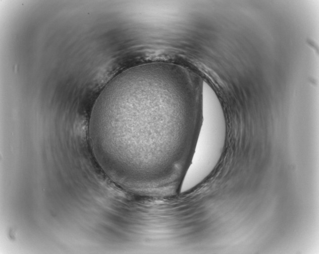 X0000093260513200710241336