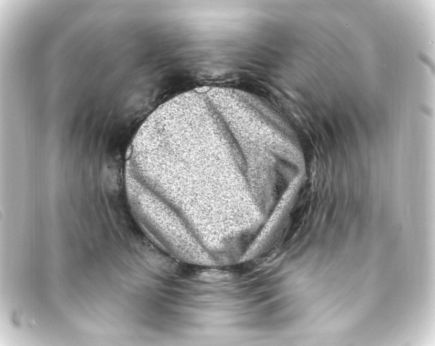 X0000093260515200710241336