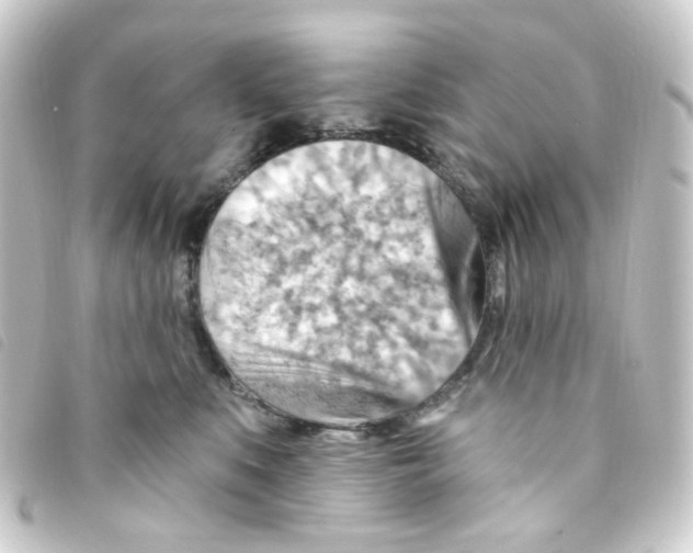 X0000093260519200710241336