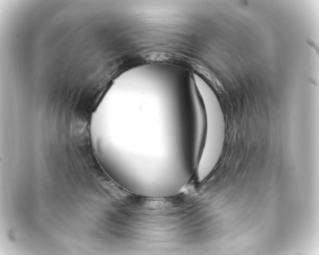 X0000093260521200710241336