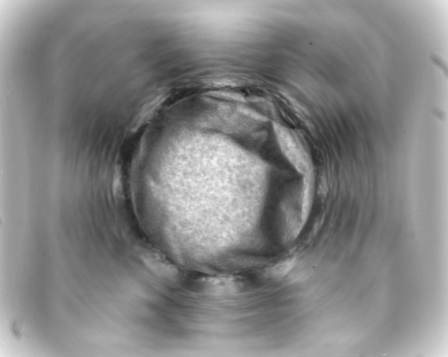 X0000093260524200710241336