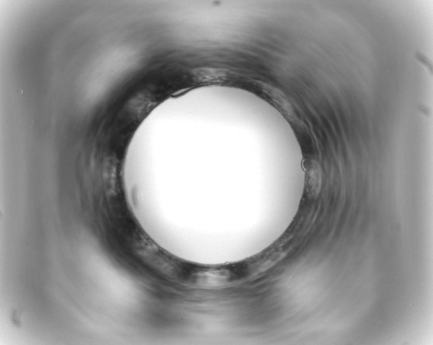 X0000093260525200710241335