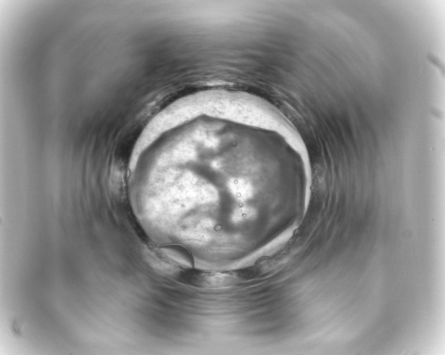 X0000093260527200710241335