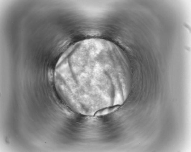 X0000093260528200710241335