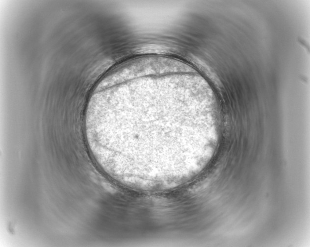 X0000093260529200710241335