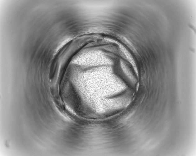 X0000093260530200710241335