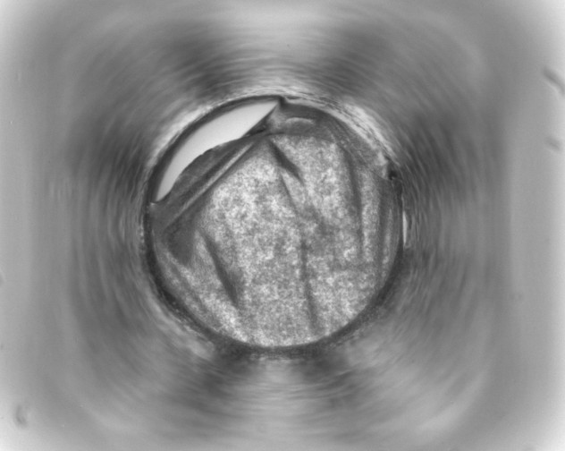X0000093260531200710241335