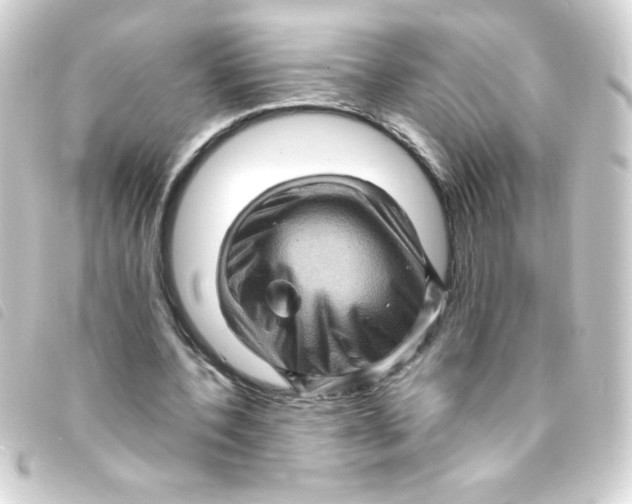 X0000093260532200710241335