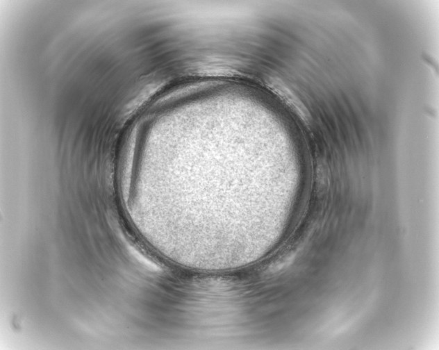 X0000093260533200710241335