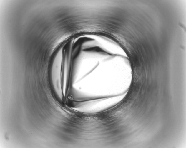 X0000093260535200710241335