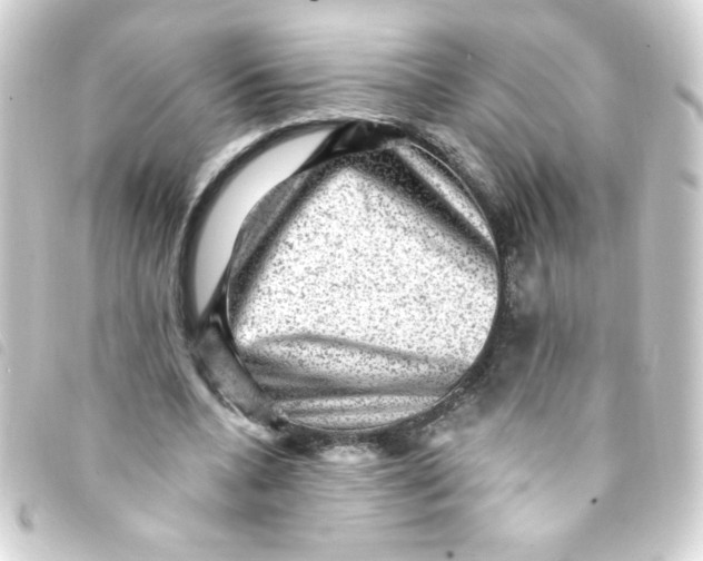 X0000093260536200710241335