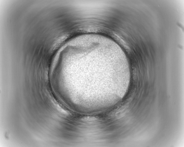 X0000093260537200710241335