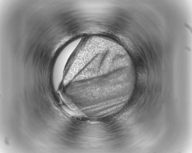 X0000093260539200710241335