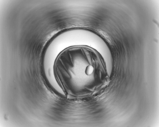 X0000093260540200710241335