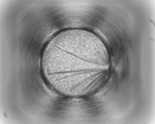 X0000093260542200710241335