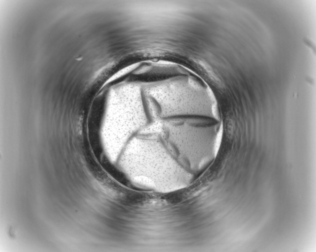 X0000093260543200710241335