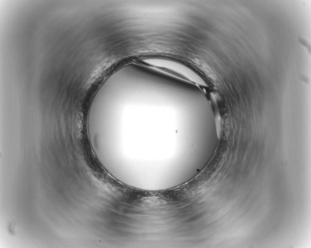 X0000093260544200710241335