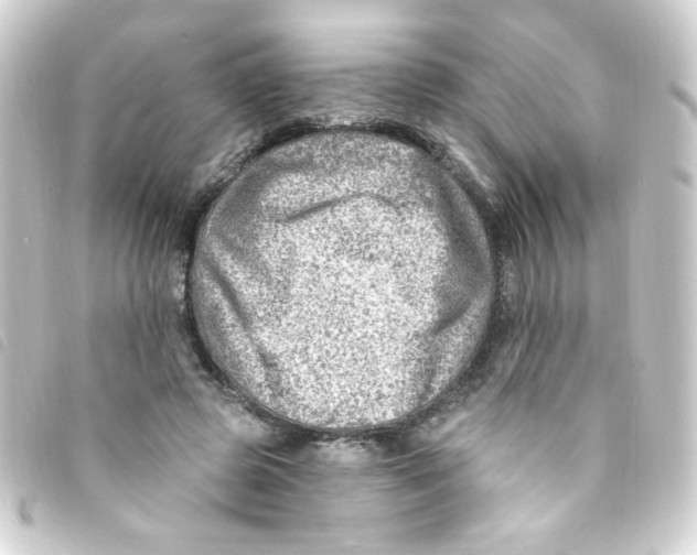 X0000093260545200710241335