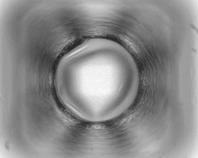 X0000093260546200710241335
