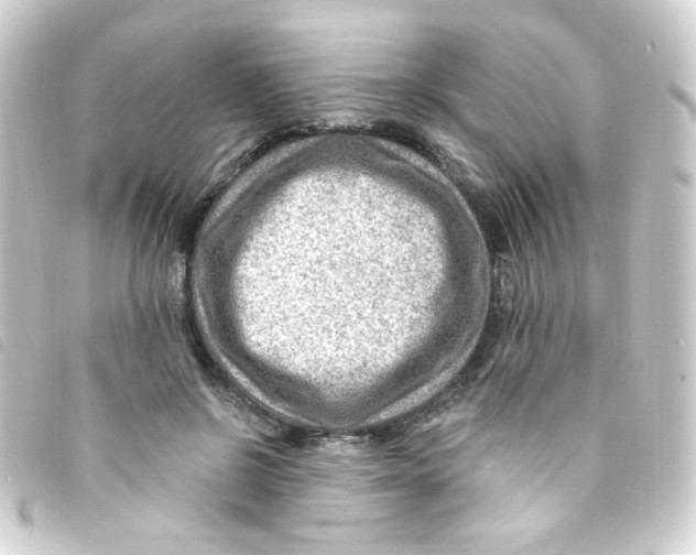 X0000093260550200710241335