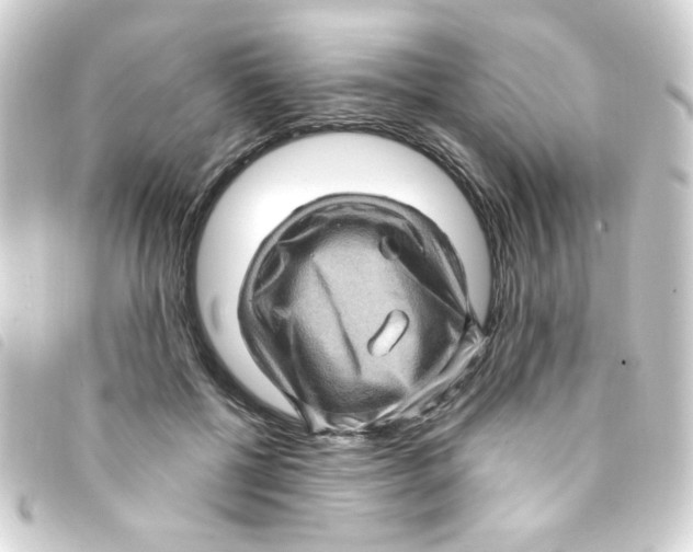 X0000093260552200710241335