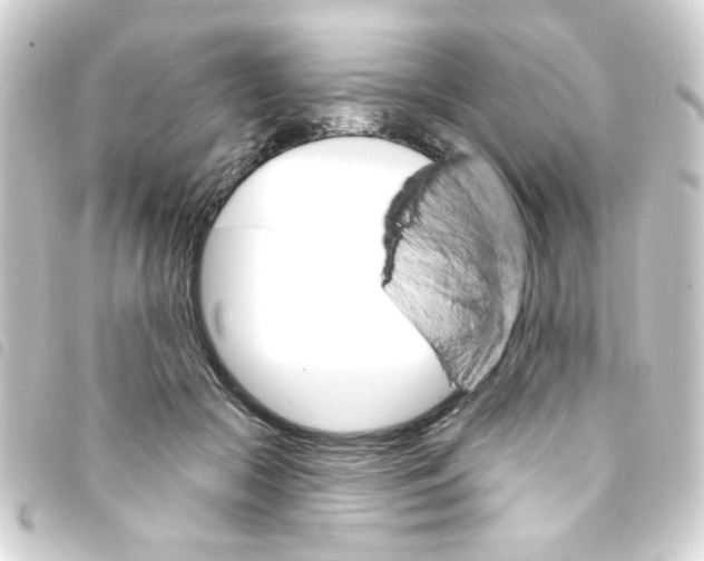 X0000093260553200710241335