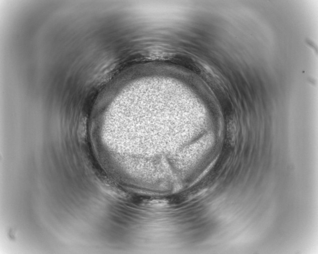 X0000093260554200710241335