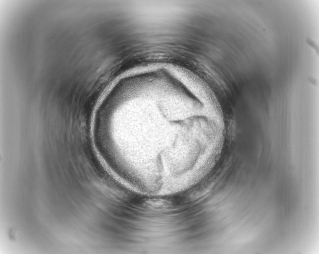 X0000093260557200710241335