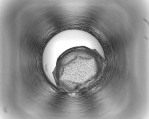 X0000093260558200710241335