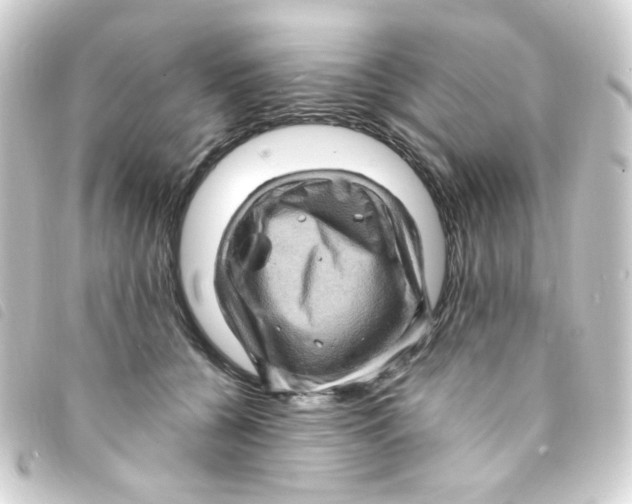 X0000093260560200710241335