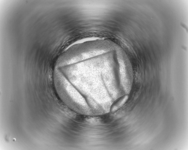 X0000093260561200710241335