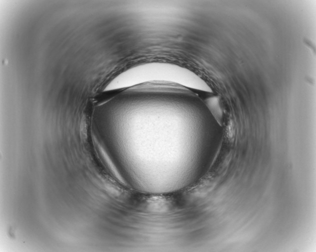 X0000093260562200710241335