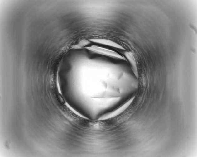 X0000093260564200710241335