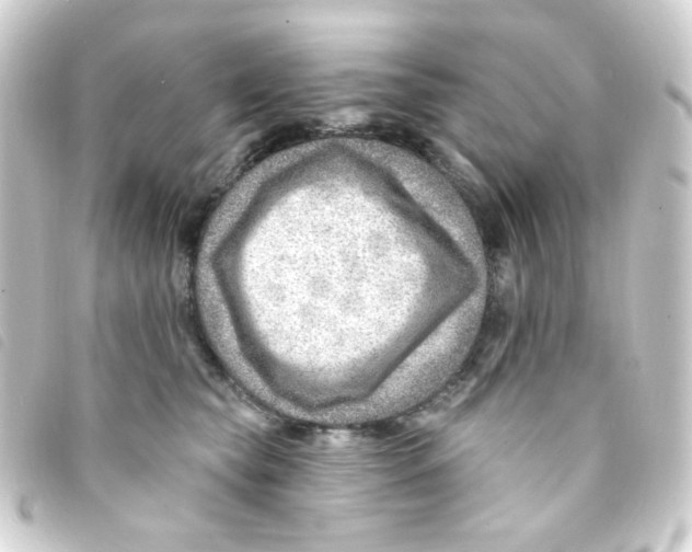 X0000093260565200710241335