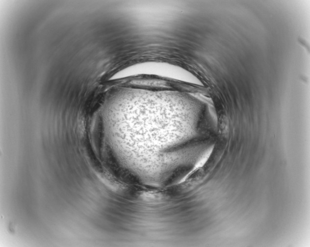 X0000093260568200710241335