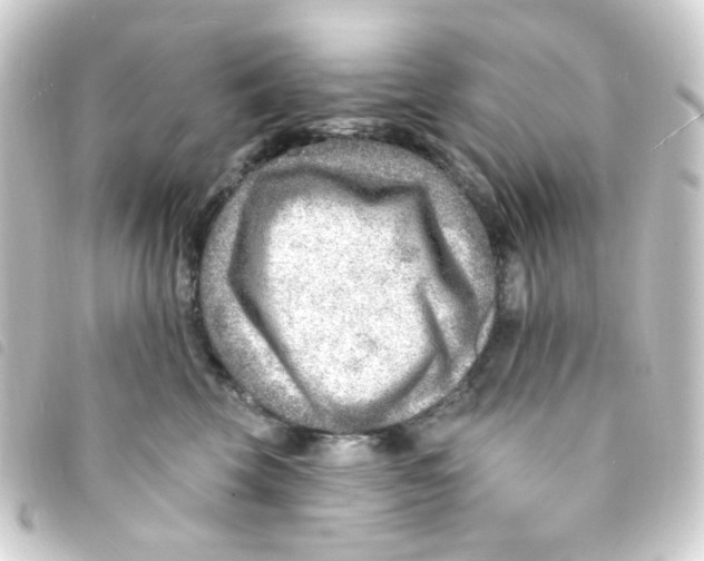 X0000093260569200710241335
