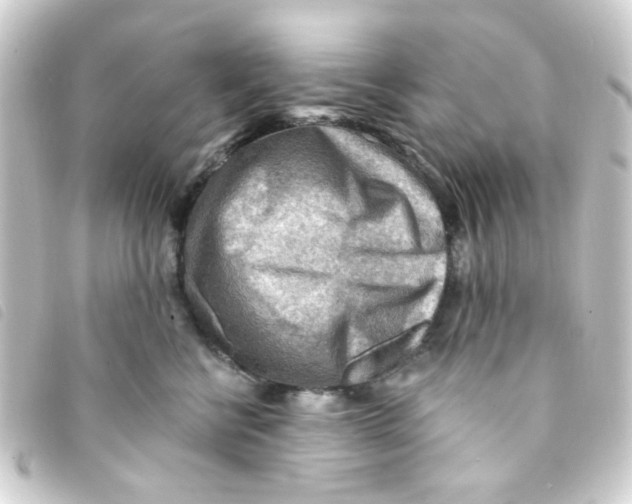 X0000093260570200710241335