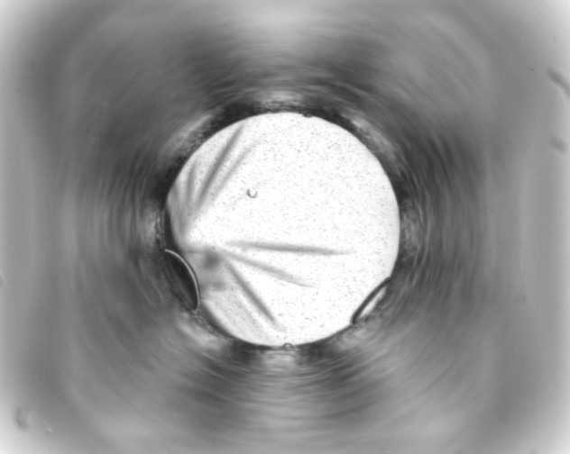 X0000093260574200710241335
