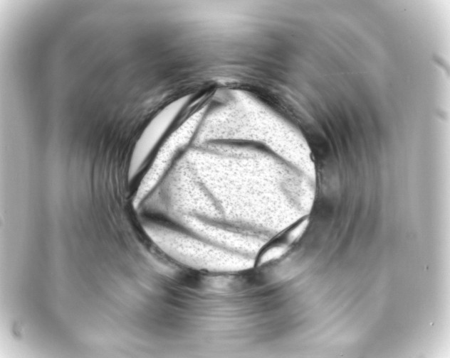 X0000093260575200710241335