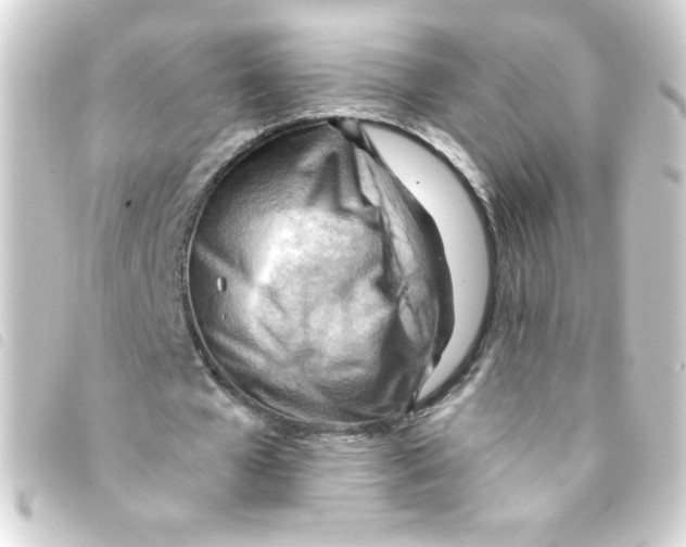 X0000093260577200710241335