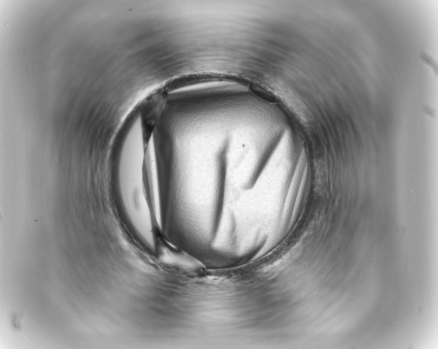 X0000093260580200710241335